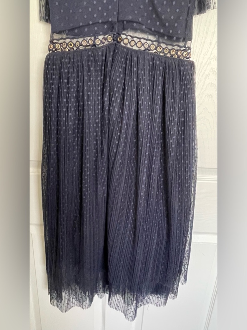 Sheer Navy Midi Dress with Eyelet Embellishment - Picture 6 of 7